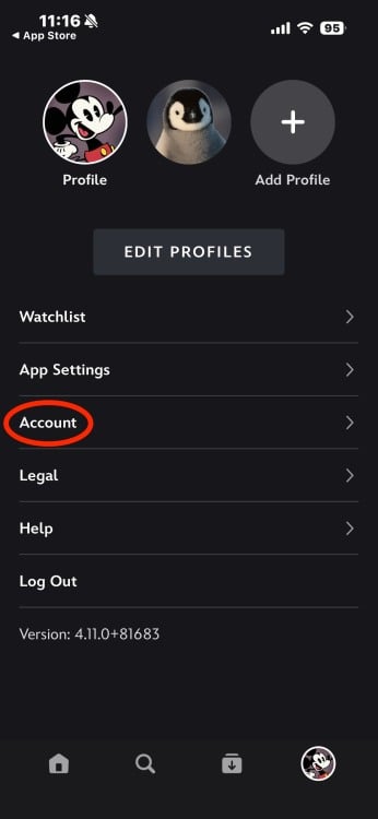 A screenshot of the Disney+ profile app with the word 