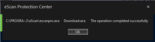 Error message displayed to us when we launched the update process after tampering with eScan